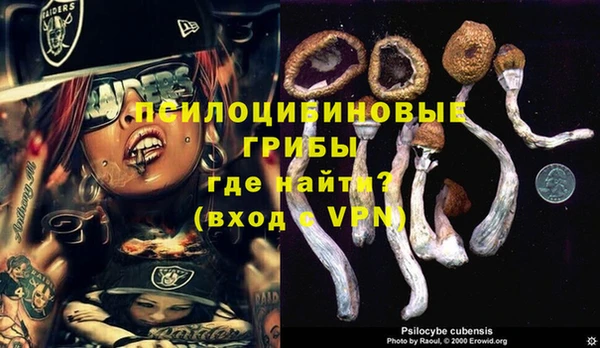 Альфа ПВП Володарск