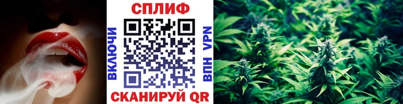 Бошки Шишки план Лиски